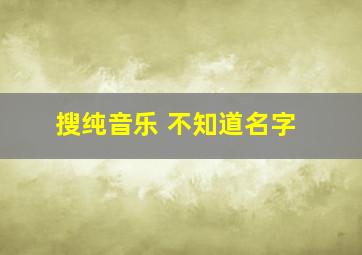 搜纯音乐 不知道名字